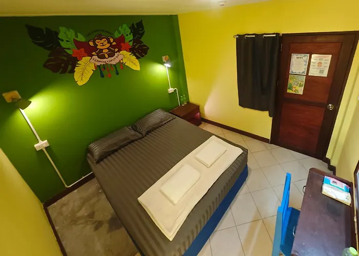 The Funky Monkey Hostel - 18 To 40 Years Old Only